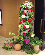 �s��:115679A - �ڦ�¸�y��W