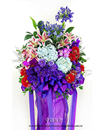 �s��:AH002497 - �ڭ����N���x