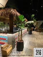 �s��: artf00043 - �Ӻu�\�U�H�y�Ӫ��]�p