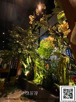 �s��:artf00010 - �Ӻu�\�U�H�y�Ӫ��]�p