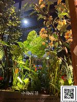 �s��:artf00011 - �Ӻu�\�U�H�y�Ӫ��]�p