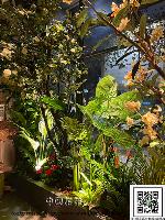 �s��:artf00012 - �Ӻu�\�U�H�y�Ӫ��]�p