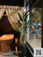 �s��:artf00048 - �Ӻu�\�U�H�y�Ӫ��]�p