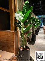 �s��:artf00055 - �Ӻu�\�U�H�y�Ӫ��]�p