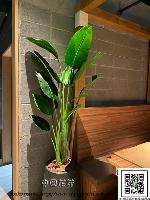 �s��:artf00056 - �Ӻu�\�U�H�y�Ӫ��]�p