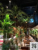 �s��:artf0006 - ���j�C�l��