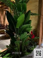 �s��:artf00032 - �Ӻu�\�U�H�y�Ӫ��]�p