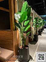 �s��:artf00033 - �Ӻu�\�U�H�y�Ӫ��]�p