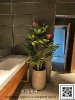 �s��:artf00034 - �Ӻu�\�U�H�y�Ӫ��]�p