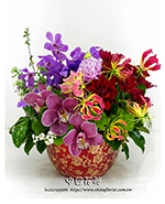 �s��:B06135 - �P��