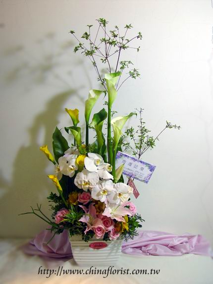 �s��:B00080-1 - ��o�֪�