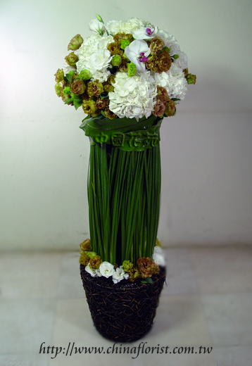 �s��:B00095-1 - �ڦ���o�֪�