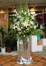 �s��:A000001_D - �ڭ����N���x