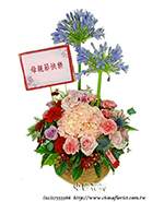 編號:B00984 - 母親節花禮_感恩母親花禮