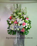 �s��:AD00034-1 - ���N���x