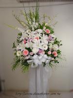 �s��:AD00055-1 - ���N���x