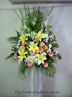 �s��:AD00058-1 - ���N���x