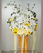 �s��:AD00187 - �ڭ����N���x