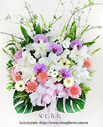 �s��:AD00194 - �ڭ����N���x