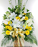 �s��:AD00196 - �ڭ����N���x