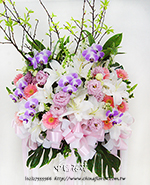 �s��:AD00198�@ - �ڭ����N���x