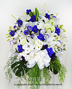 �s��:AD00202�@ - �ڭ����N���x