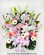 �s��:AD00204 - �ڭ����N���x