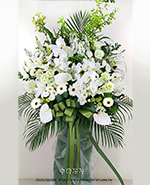 �s��:AD00206 - �ڭ����N���x