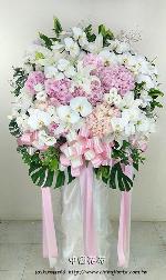 �s��:AD00210 - �ڭ����N���x