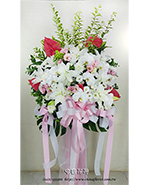 �s��:AD00211 - �ڭ����N���x