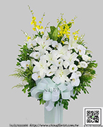 �s��:AD00213 - �ڭ����N���x