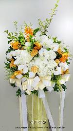 �s��:AD00216 - �ڭ����N���x