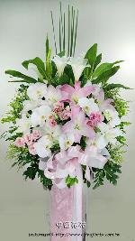 �s��:AD00217 - �ڭ����N���x