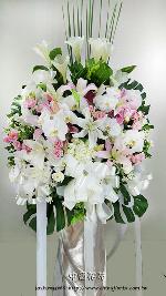 �s��:AD00219 - �ڭ����N���x