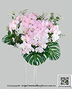 �s��:AD00240 - �ڭ����N���x