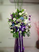 �s��:AH00045-(1) - ���N���x
