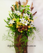 �s��:AH00050-1B - �ڭ����N���x