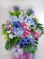 �s��:AH00071-1 - �ڭ����N���x