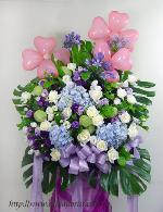 �s��:AH00072-1 - �y�����N���x