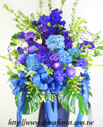 �s��:AH00214B - �ڭ����N���x