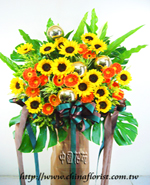 �s��:AH00216B - �ڭ����N���x