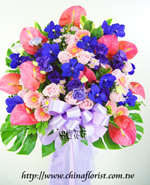 �s��:AH00221B - �ڭ����N���x