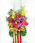 �s��:AH002524 - �ڭ����N���x