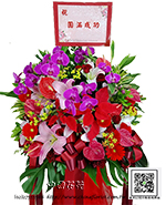 �s��:AH002532 - �ڦ����N�t�Ϫ��x