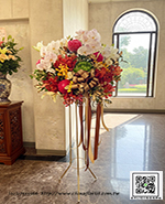 �s��:AH002555 - �ڭ����N���x