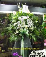 �s��:AP00026 - ���N���x