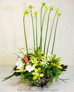 �s��:B0017 - �ɩ|�L�Q��§-A18