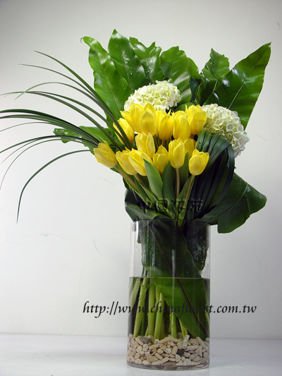 �s��:B00019 - �ӫ~�W��