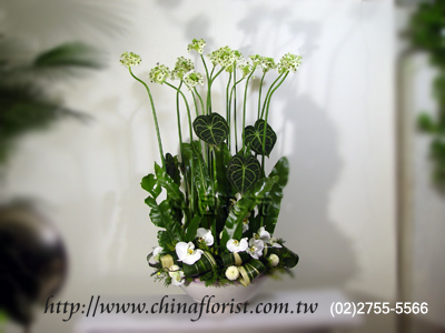 �s��:B00027 - �B�Q�����P