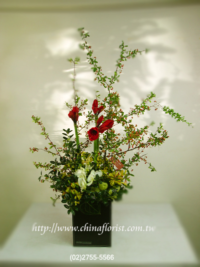 �s��:B00040 - �ɩ|��§(�T)